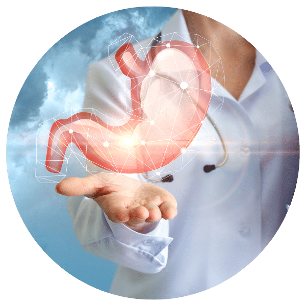 גסטרואנטרולוגיה